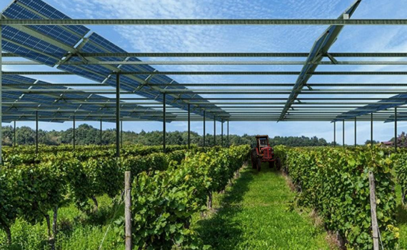 Champ agri voltaïque avec un tracteur rouge au fond