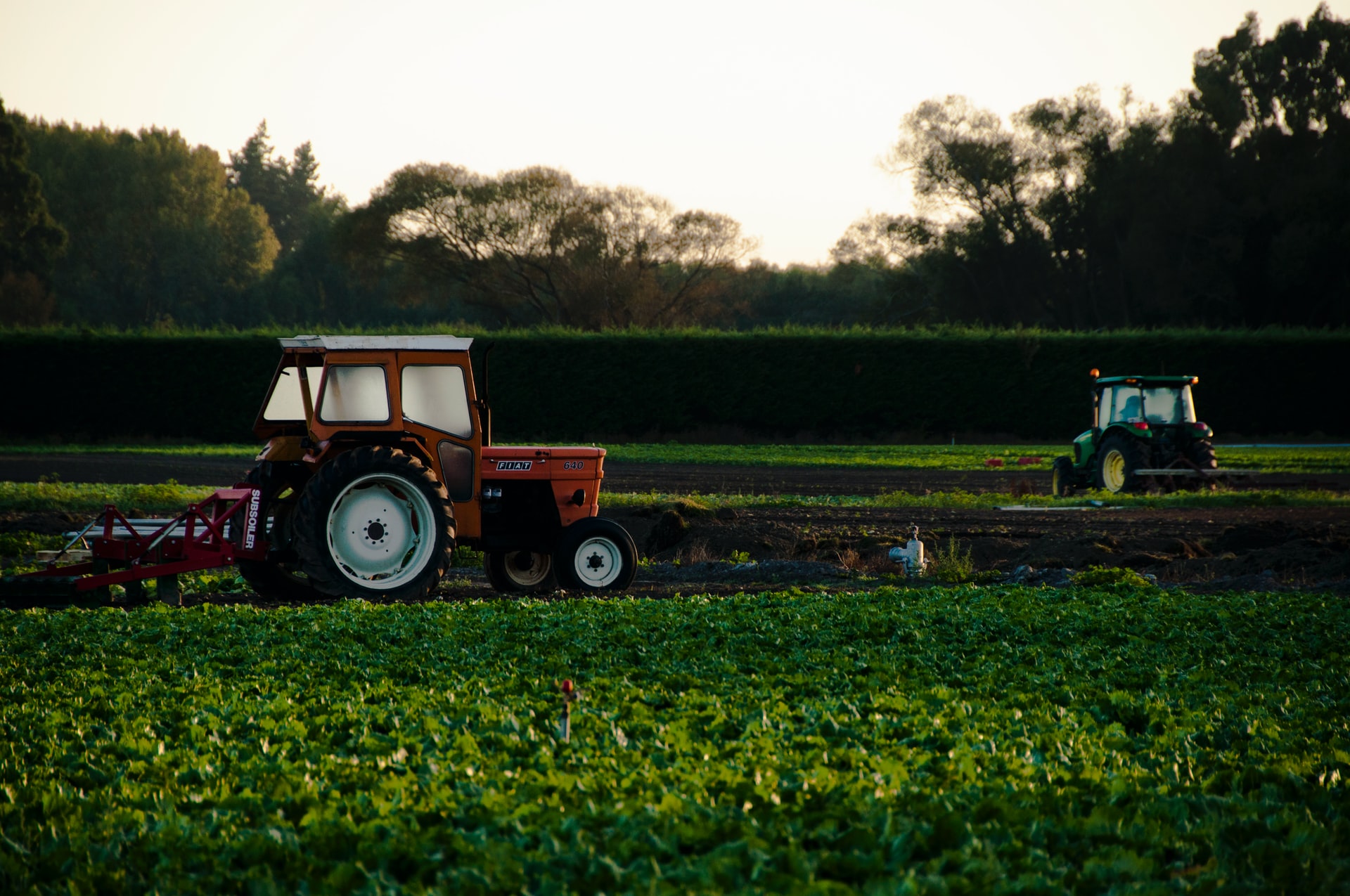 Tracteur dans un champ agricole